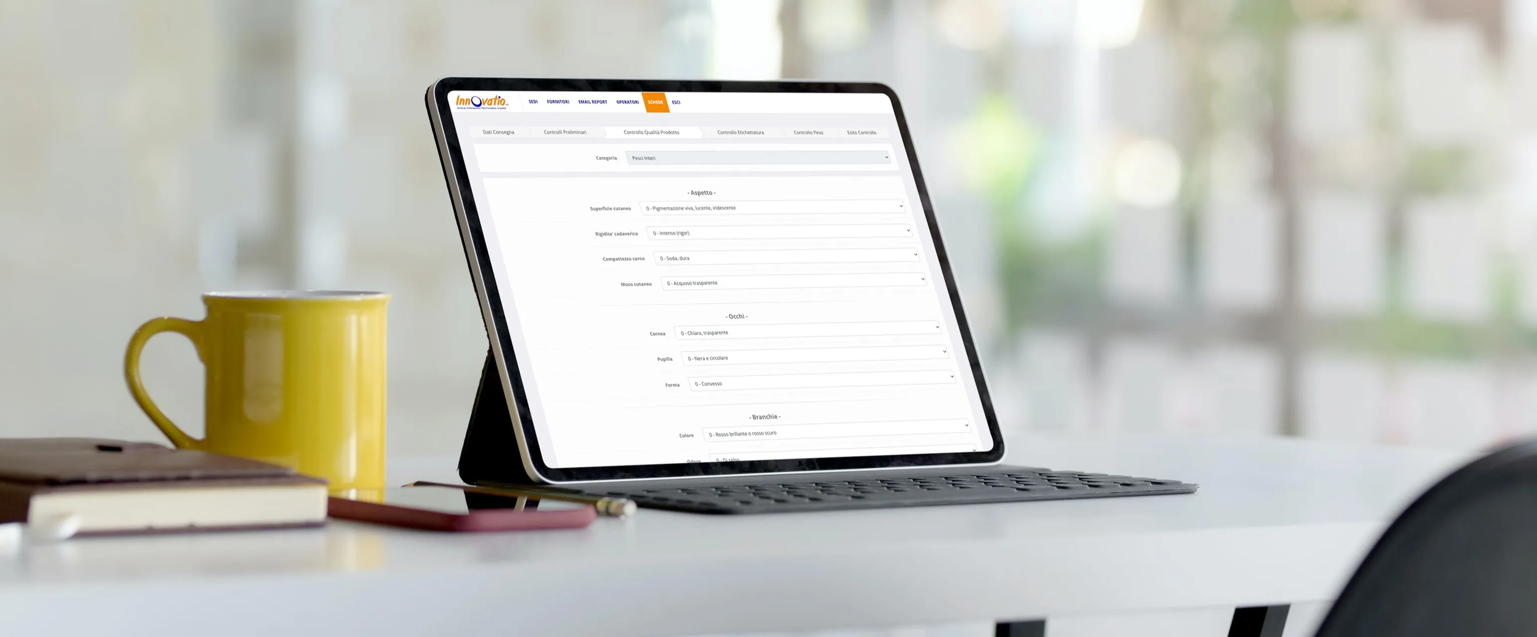 Sviluppo web app: digitalizzazione processo industriale